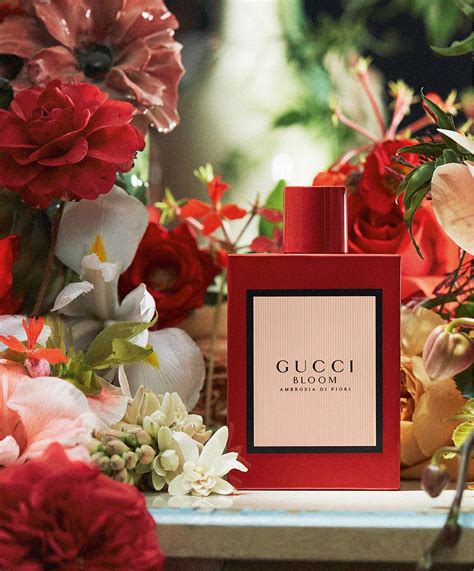 gucci bloom ambrosia review